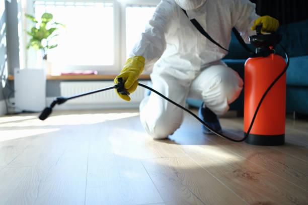 Reliable Infectious Disease Decontamination contractor in Green Valley Lake, CA by Crime Scene Cleaner Online